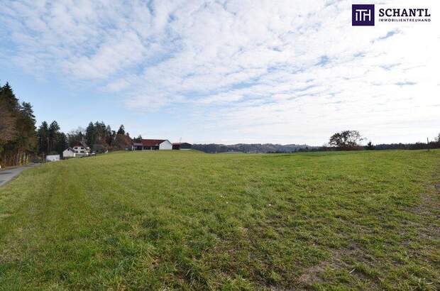 Grundstück kaufen in 8503 St. Josef (Bild 3)