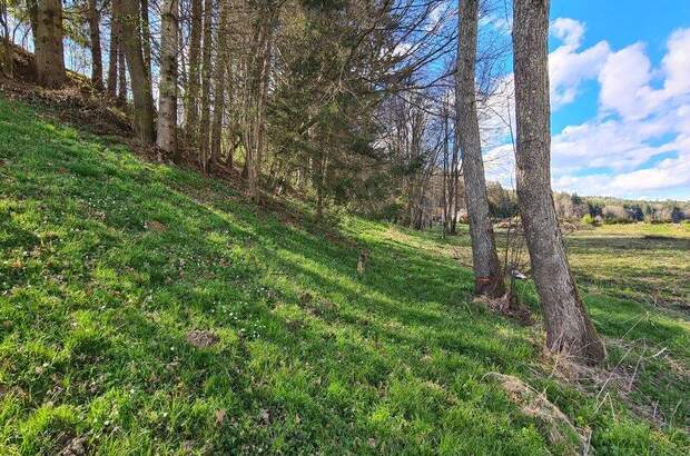 Grundstück kaufen in 8082 Kirchbach (Bild 2)