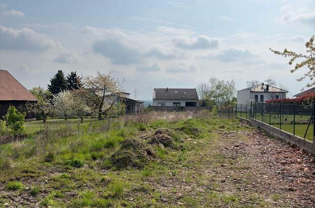 Grundstück kaufen in 2202 Königsbrunn (Bild 1)