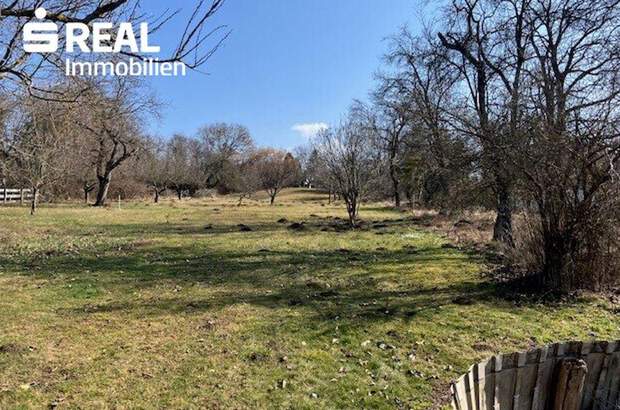 Haus kaufen in 7431 Bad Tatzmannsdorf (Bild 1)