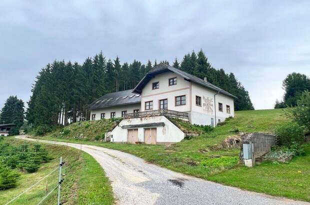 Haus kaufen in 3920 Josefsdorf