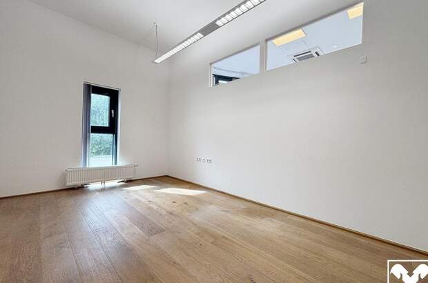 Gewerbeobjekt mieten in 4600 Wels (Bild 4)