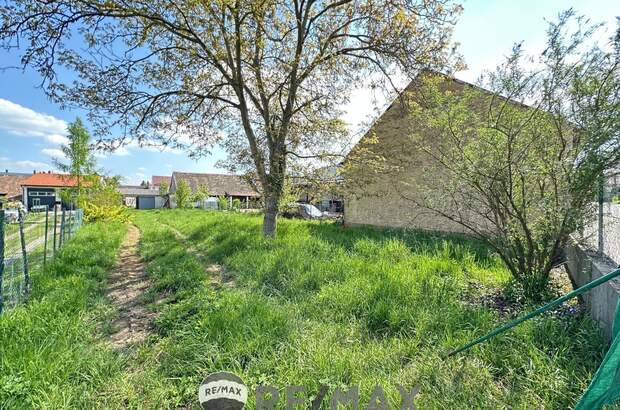 Grundstück kaufen in 3710 Ziersdorf (Bild 3)