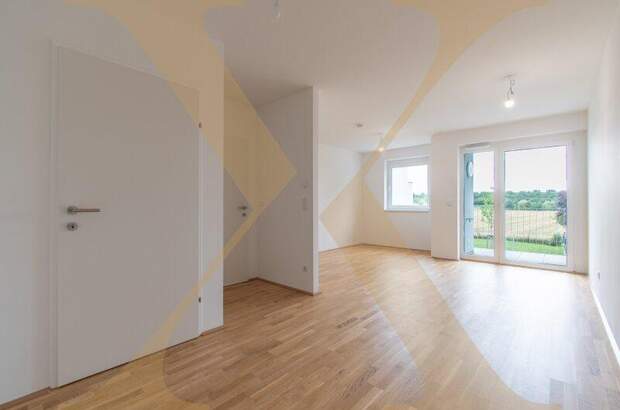 Terrassenwohnung mieten in 3100 St. Pölten (Bild 1)