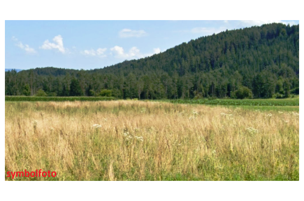 Grundstück kaufen in 9142 Globasnitz (Bild 1)