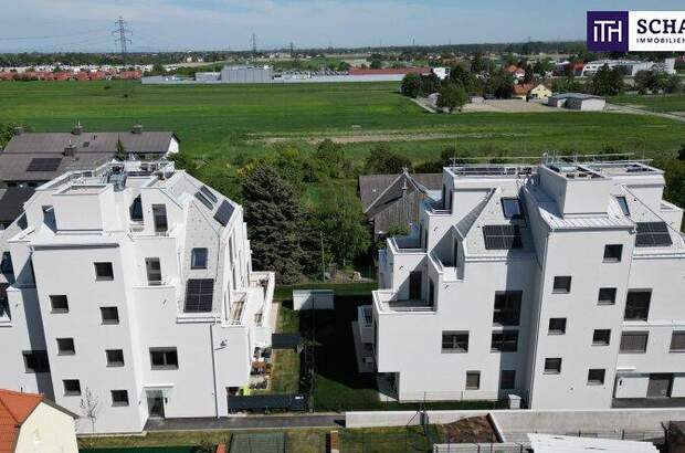 Terrassenwohnung kaufen in 1220 Wien (Bild 3)