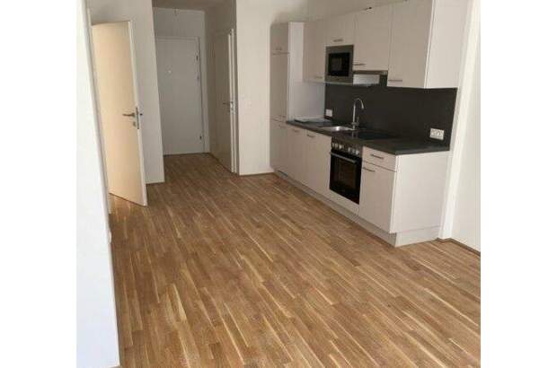Terrassenwohnung mieten in 1220 Wien (Bild 4)