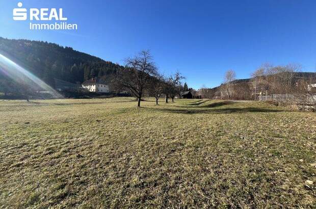 Grundstück kaufen in 9361 St. Salvator (Bild 4)