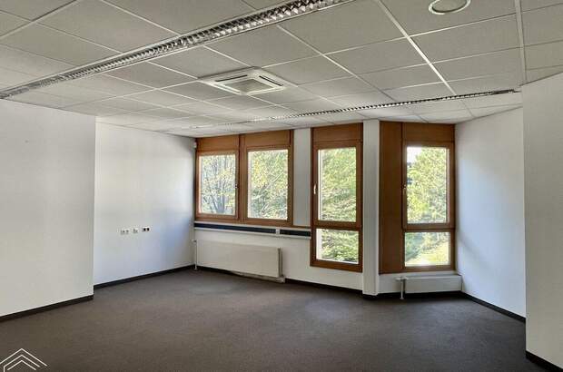 Gewerbeobjekt mieten in 1210 Wien (Bild 4)