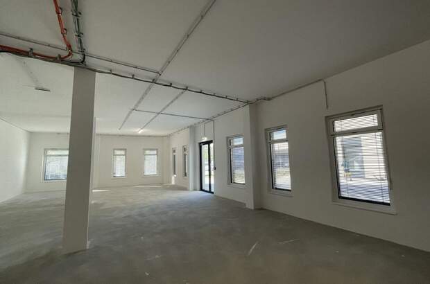 Gewerbeobjekt mieten in 1220 Wien (Bild 4)