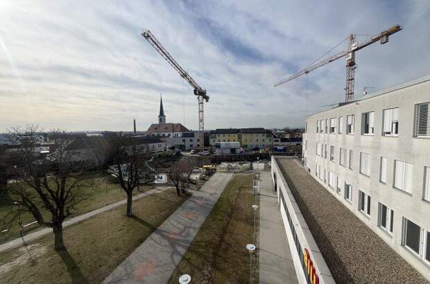 Büro / Praxis mieten in 2353 Guntramsdorf (Bild 2)