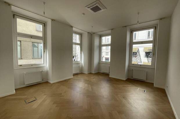 Gewerbeobjekt mieten in 1010 Wien (Bild 1)