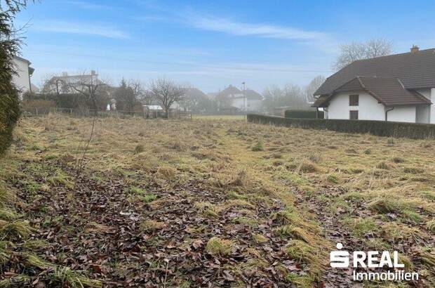 Grundstück kaufen in 4150 Rohrbach (Bild 2)