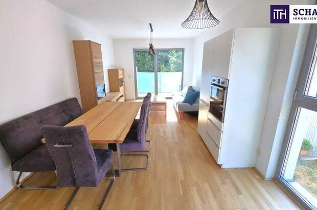 Terrassenwohnung mieten in 1100 Wien (Bild 1)