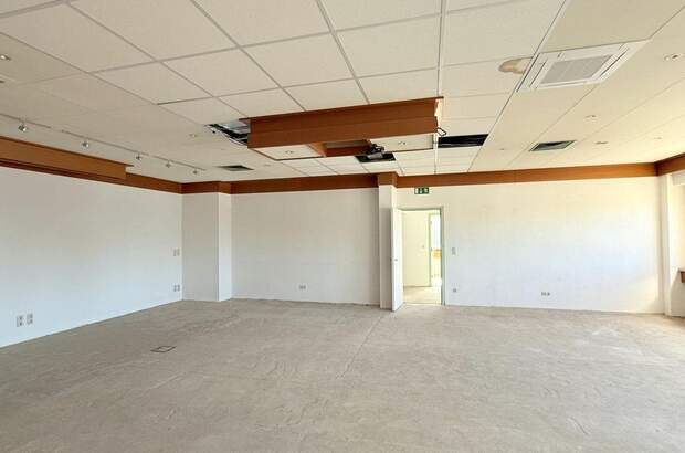 Gewerbeobjekt mieten in 2380 Perchtoldsdorf (Bild 2)