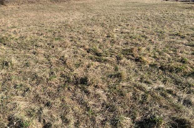 Grundstück kaufen in 2231 Strasshof (Bild 3)