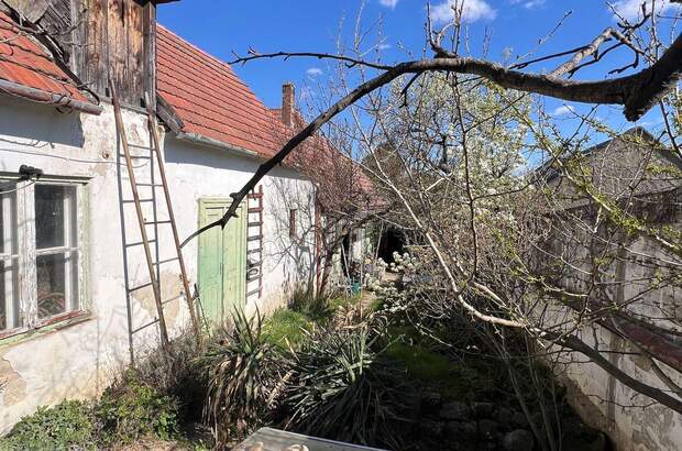 Haus mit Garten kaufen in 7091 Breitenbrunn (Bild 5)