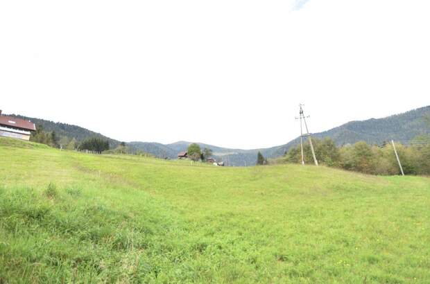 Gewerbeobjekt kaufen in 9543 Arriach (Bild 2)