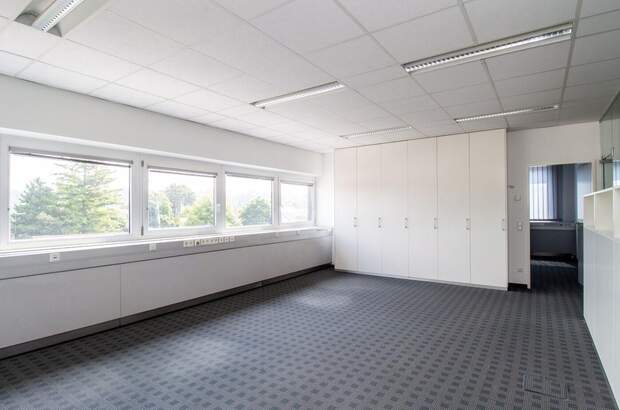 Gewerbeobjekt mieten in 4600 Thalheim (Bild 4)