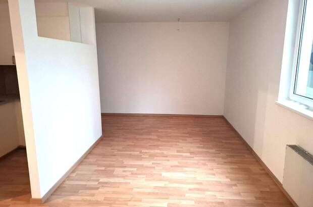 Mietwohnung in 1100 Wien (Bild 3)