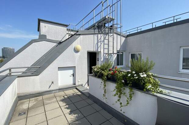 Wohnung mieten in 1020 Wien (Bild 1)