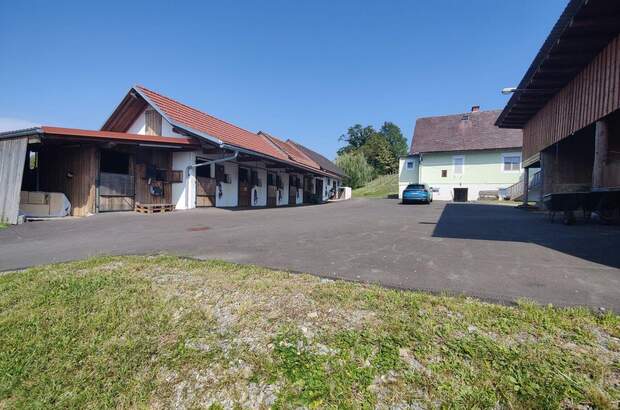 Gewerbeobjekt kaufen in 8323 Lambach (Bild 3)
