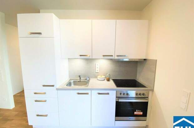 Terrassenwohnung mieten in 1100 Wien (Bild 3)