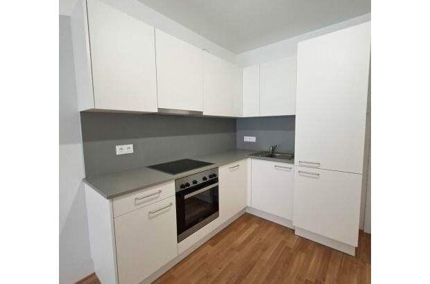 Terrassenwohnung mieten in 8010 Graz (Bild 1)