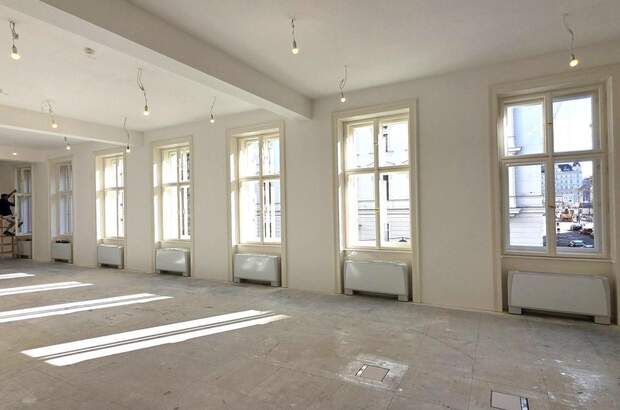Gewerbeobjekt mieten in 1010 Wien (Bild 3)