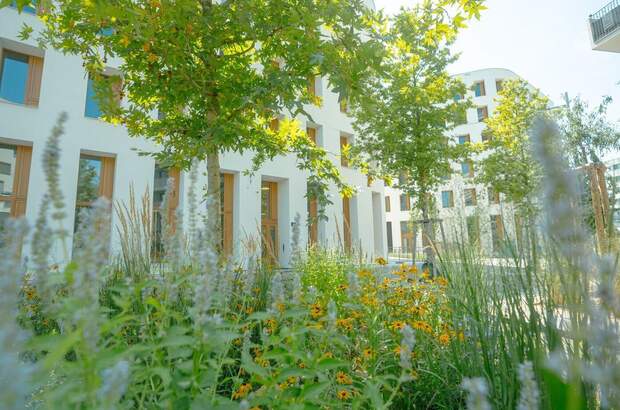 Gewerbeobjekt mieten in 1220 Wien (Bild 5)