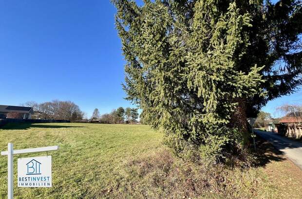 Grundstück kaufen in 7564 Dobersdorf (Bild 1)