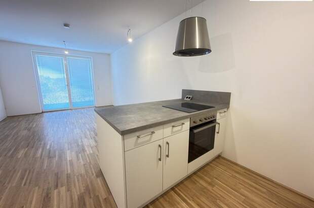 Terrassenwohnung mieten in 3100 St. Pölten (Bild 5)