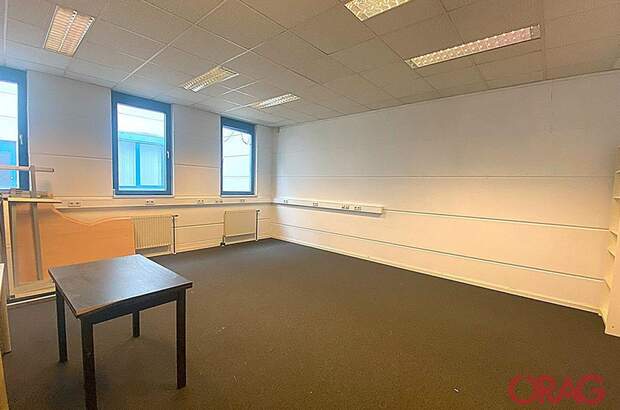 Gewerbeobjekt mieten in 1230 Wien (Bild 4)