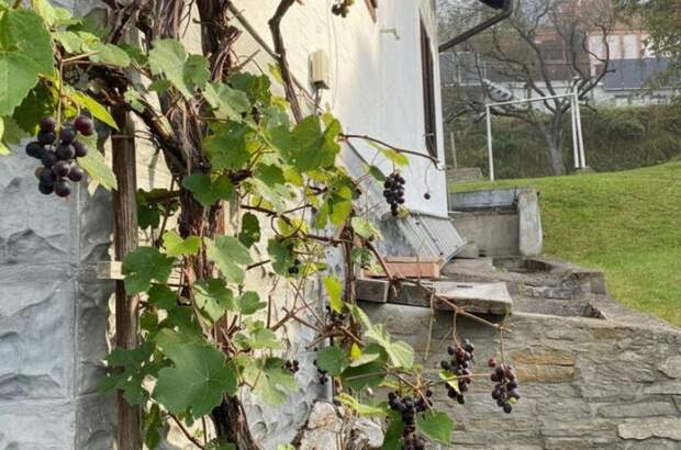 Haus kaufen in 8650 Kindberg (Bild 5)