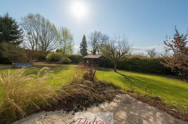 Grundstück kaufen in 4614 Marchtrenk (Bild 4)