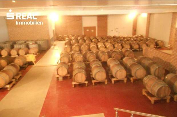 Lager kaufen in 7122 Gols (Bild 3)