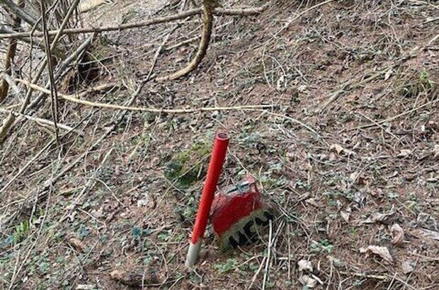 Gewerbeobjekt kaufen in 8850 Murau (Bild 5)