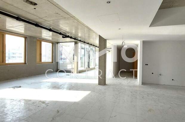 Gewerbeobjekt mieten in 1230 Wien (Bild 3)