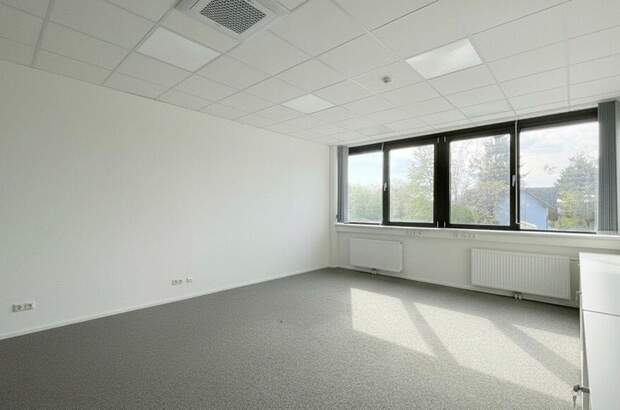 Gewerbeobjekt mieten in 8042 Graz (Bild 5)