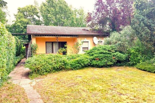 Haus mit Garten kaufen in 2291 Lassee (Bild 4)