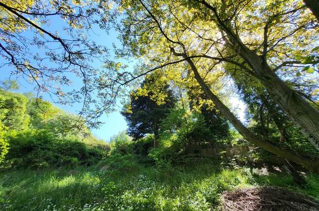 Grundstück kaufen in 3003 Gablitz (Bild 4)