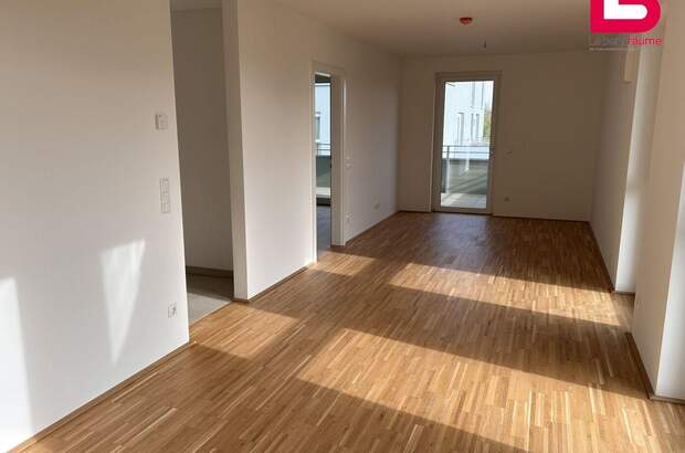 Wohnung mit Balkon kaufen in 4481 Asten (Bild 4)