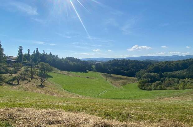 Gewerbeobjekt kaufen in 8462 Leutschach (Bild 3)