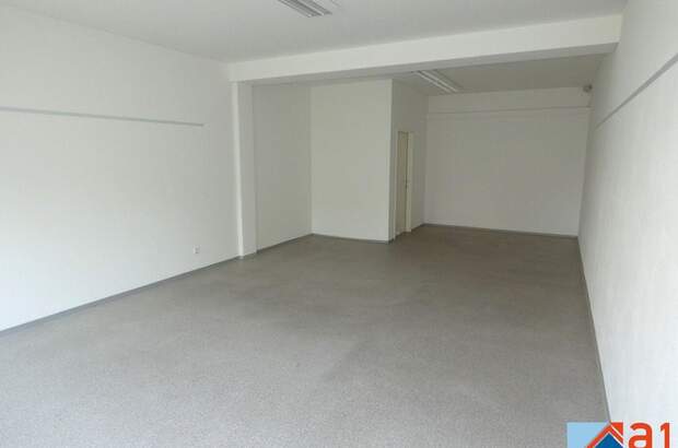 Gewerbeobjekt mieten in 4050 Traun (Bild 3)