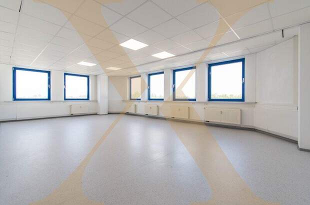 Büro / Praxis mieten in 4055 Pucking (Bild 1)