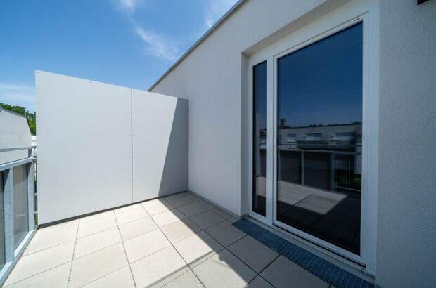 Terrassenwohnung mieten in 2104 Spillern (Bild 3)