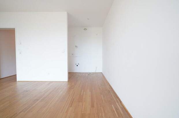 Terrassenwohnung mieten in 4432 Ernsthofen (Bild 4)