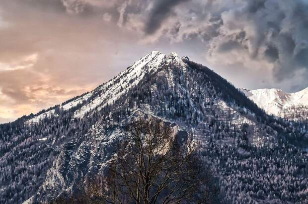 Grundstück kaufen in 9184 St. Jakob (Bild 3)