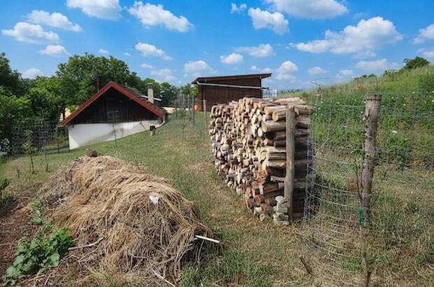 Gewerbeobjekt kaufen in 3714 Frauendorf (Bild 4)