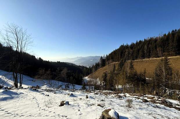Haus kaufen in 8650 Kindberg (Bild 2)